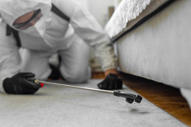 Professional Cockroach Control technician working in Green, OR